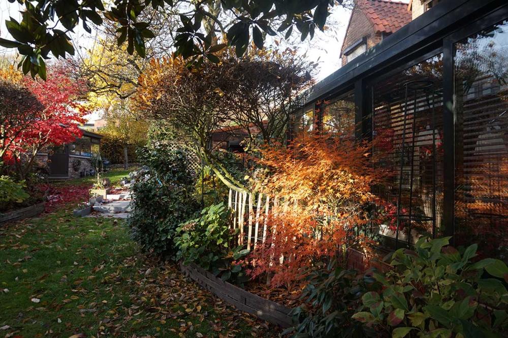 Slechts één zijde van de prachtige tuin van de familie Demanet waar binnenkort ook een buitentraplift zal worden geplaatst, zodat Dhr. Demanet ook van de schoonheid van zijn tuin kan genieten.